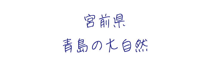 宮崎県青島観光案内MAP