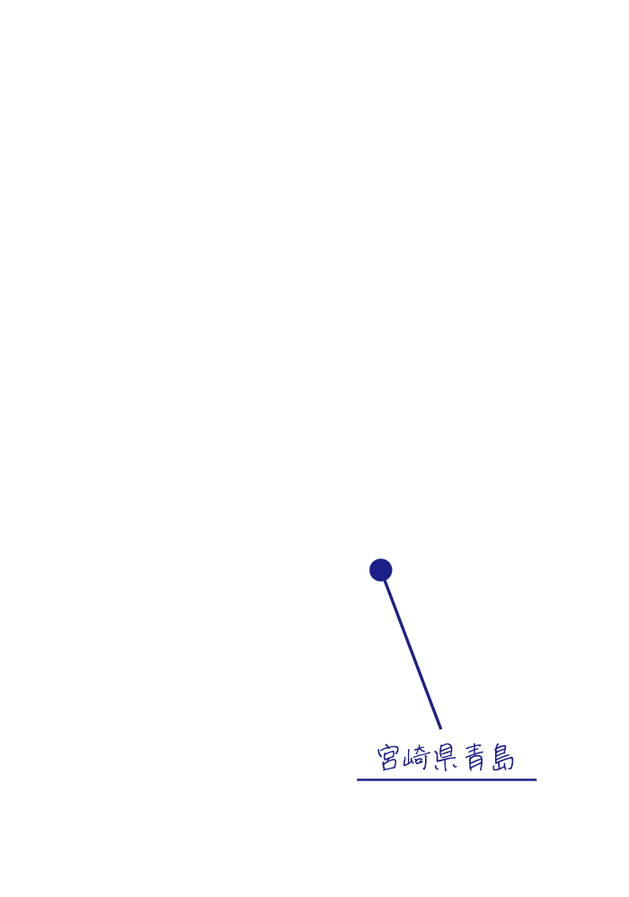 宮崎県青島のMAP